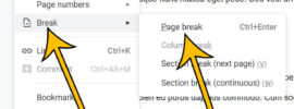 how to create a page break in Google Docs