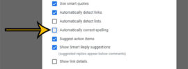 how to turn off auto correction in Google Docs